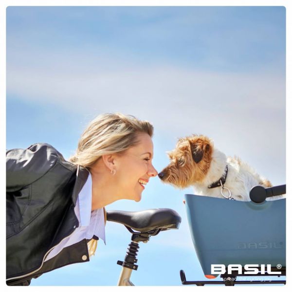 Basil Buddy Drahtkuppel für Hundetransport